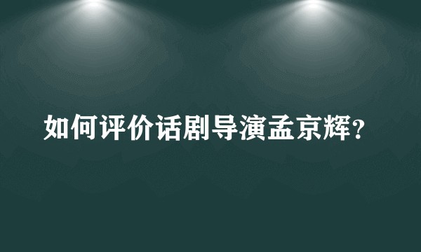 如何评价话剧导演孟京辉？