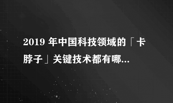 2019 年中国科技领域的「卡脖子」关键技术都有哪些发展？