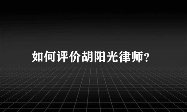 如何评价胡阳光律师？