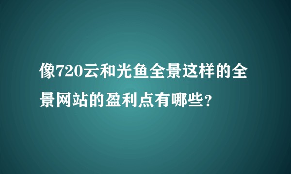 像720云和光鱼全景这样的全景网站的盈利点有哪些？