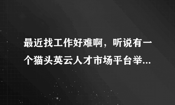 最近找工作好难啊，听说有一个猫头英云人才市场平台举办网络招聘会，是视频面试的，谁用过，效果怎么样？