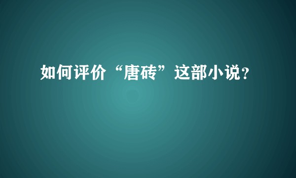 如何评价“唐砖”这部小说？