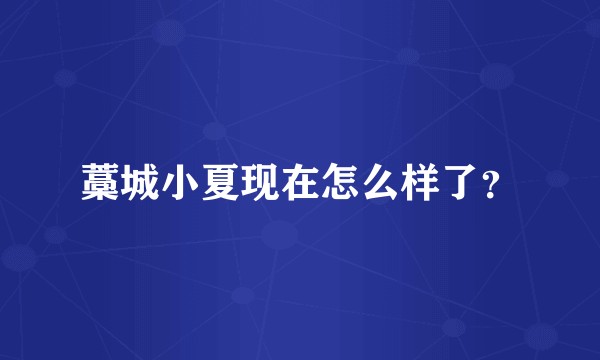 藁城小夏现在怎么样了？