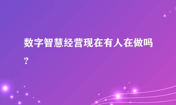 数字智慧经营现在有人在做吗？