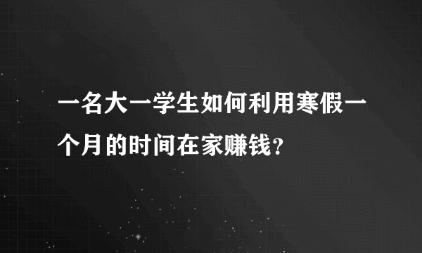 一名大一学生如何利用寒假一个月的时间在家赚钱？