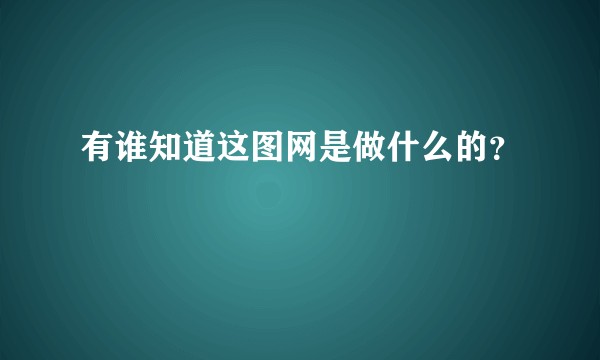 有谁知道这图网是做什么的？