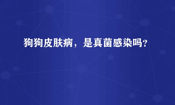 狗狗皮肤病，是真菌感染吗？