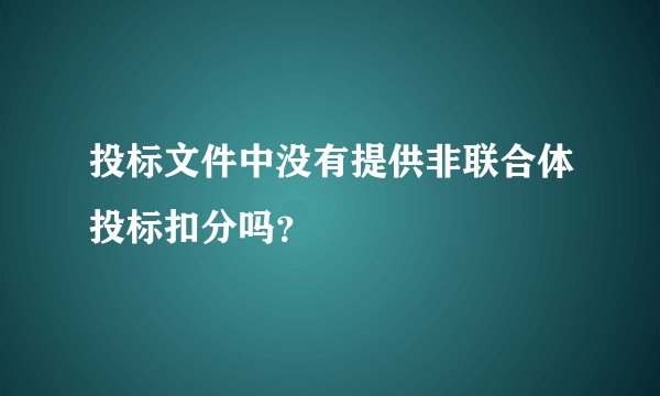 投标文件中没有提供非联合体投标扣分吗？