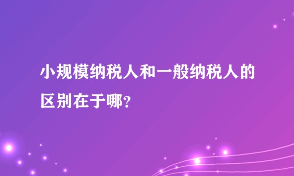 小规模纳税人和一般纳税人的区别在于哪？