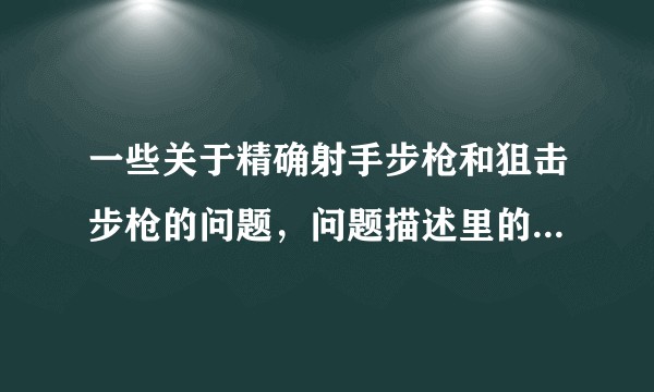 一些关于精确射手步枪和狙击步枪的问题，问题描述里的这些疑问有哪些解读或建议？
