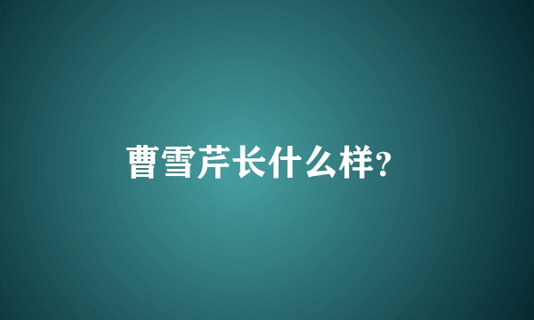 曹雪芹长什么样？