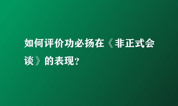 如何评价功必扬在《非正式会谈》的表现？