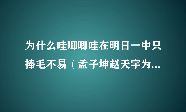 为什么哇唧唧哇在明日一中只捧毛不易（孟子坤赵天宇为什么不捧）？