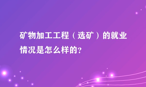 矿物加工工程（选矿）的就业情况是怎么样的？