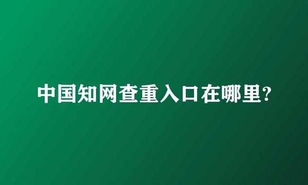 中国知网查重入口在哪里?