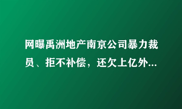 网曝禹洲地产南京公司暴力裁员、拒不补偿，还欠上亿外债，真实情况如何？员工该如何维护自身权益？
