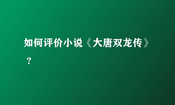 如何评价小说《大唐双龙传》 ？