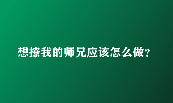 想撩我的师兄应该怎么做？