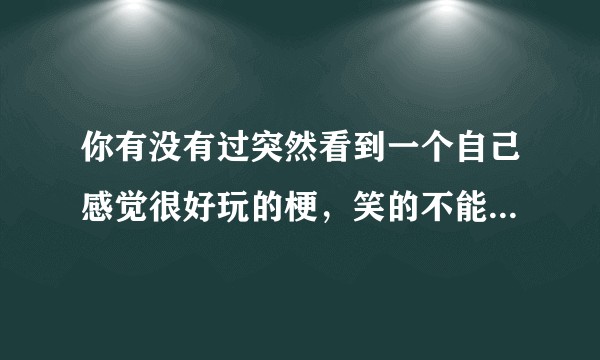 你有没有过突然看到一个自己感觉很好玩的梗，笑的不能自己，但是周围的人却感觉很奇怪的时候？