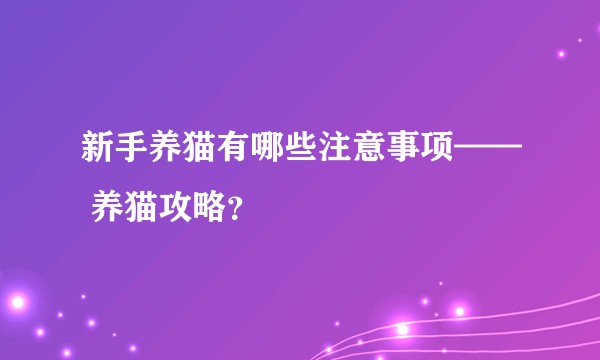 新手养猫有哪些注意事项—— 养猫攻略？