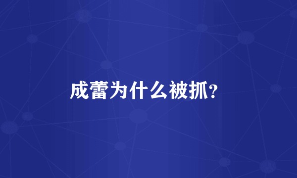 成蕾为什么被抓？