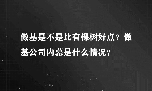 傲基是不是比有棵树好点？傲基公司内幕是什么情况？