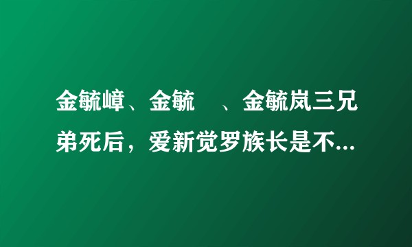金毓嶂、金毓峑、金毓岚三兄弟死后，爱新觉罗族长是不是就没有继承人了？